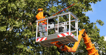 Man standing in a mobile aerial work platform on a crane arm cutting a tree branch